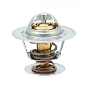 termostat passat b5 B13141 Borsehung