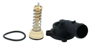 golf 5 gti termostat B18249 Borsehung