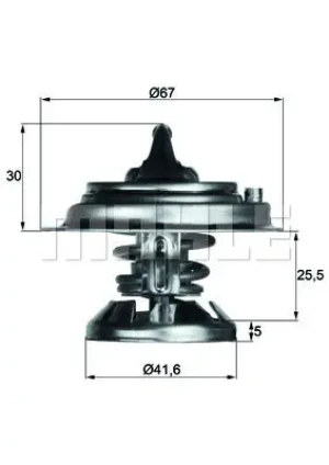 TX 29 80D MAHLE Termostat