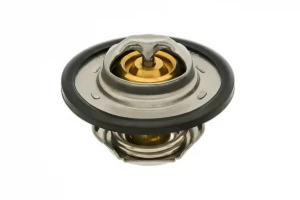 2.0, 2.0 16V OPEL VIVARO A Termostat TOPRAN