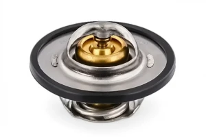 2.0, 2.0 LPG, 2.0 4x4 FIAT DUCATO Termostat TOPRAN