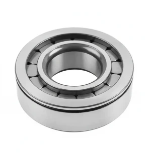 Łożysko mechanizmu różnicowego dt spare parts DAF 95 XF FA 95, FAC 95, FAS 95, FAD 95, FTP 95, FAR 95, FTT 95, FTS 95, FT 95, FAT 95, FTR 95, FTG 95 DT Spare Parts