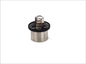 termostat bmw e60 520i THD 1 79 MAHLE