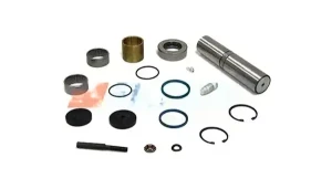 Kit de réparation de pivot de fusée RENAULT TRUCKS MAXTER AUGER