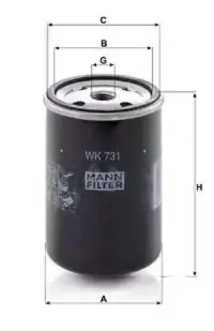 255 GT, 275 GT, 231 GT, 380 GT, 365 GTA Filtr paliwa FENDT GT MANN-FILTER