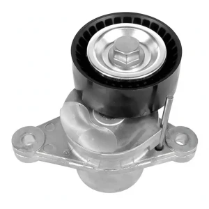 1.6 HDi, 1.4 HDi Napinacz paska klinowego wielorowkowego CITROËN DS DAYCO