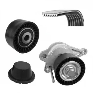 2.0 dCi Zestaw paska klinowego wielorowkowego RENAULT TRAFIC II DAYCO