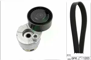 1.5 dCi, 1.4 16V, 1.6 16V Kit cinghia trapezoidale multirighe RENAULT CLIO III INA