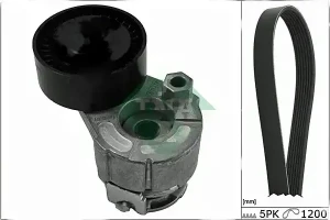 1.5 dCi Kit de courroie multi-cannelée RENAULT THALIA I INA