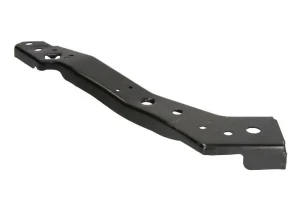 Mocowanie lampy RENAULT MEGANE III BLIC
