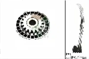 1.2 16V Kit de courroie multi-cannelée DACIA SANDERO I INA