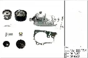 1.6, 1.6 Flex RENAULT GRAND SCENIC II Kit distribuzione + pompa acqua INA