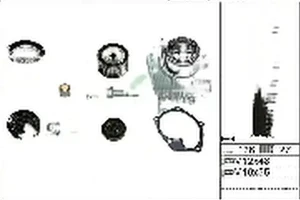 2.0 NISSAN PRIMASTAR I Wellenset + wasserpumpe INA