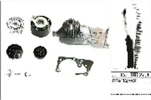 1.6 16V RENAULT THALIA II Wellenset + wasserpumpe INA