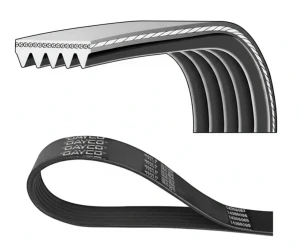 5PK1550 DAYCO Pasek klinowy wielorowkowy