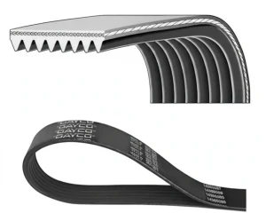 Pasek klinowy wielorowkowy MERCEDES-BENZ VARIO B667, B670, B668 613 D, DAYCO