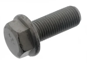 Śruba zacisku hamulcowego przód VW PASSAT B5 FEBI BILSTEIN