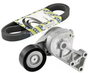 1.2, 1.2 LPG Zestaw paska klinowego wielorowkowego SEAT IBIZA 4 SNR