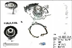 2.0 TDCi FORD KUGA II Wellenset + wasserpumpe INA