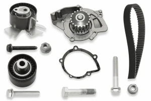 2.0 TDCi, 2.0 TDCI FORD GRAND C-MAX Zestaw rozrządu + pompa wodna INA