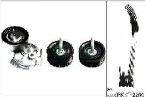 S 320 Mehrrippiger keilriemen set MERCEDES-BENZ S W220 INA