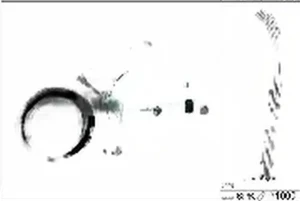 2.0, 2.0 Flex, 2.2 16V, 2.0 16V, 1.8 16V Mehrrippiger keilriemen set PEUGEOT 407 INA