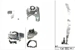 1.9 TD, 1.9 D CITROËN JUMPER I Wellenset + wasserpumpe INA