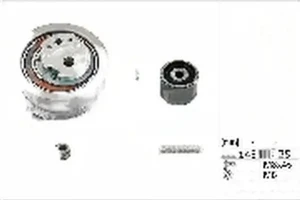 1.4 TDI SKODA RAPID Kit de courroie de distribution INA