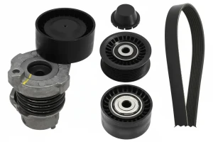 0.9 TCe, 1.2 TCe Zestaw paska klinowego wielorowkowego RENAULT CAPTUR I INA