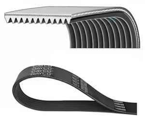 12PK1877HD DAYCO Pasek klinowy wielorowkowy