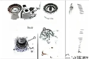2.0 CRDi KIA MAGENTIS II Wellenset + wasserpumpe INA