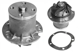 280 SE,, 250 SE, 280 S, 250 S MERCEDES-BENZ S W108, W109 Pompa wody Pompa wody INA