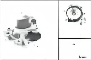 2.0 R, 2.5 i, 2.0 AWD, 2.5 AWD SUBARU LEGACY IV Kombi (BP) Pompa wody Pompa wody INA