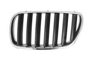 Atrapa chłodnicy gril BMW E83 2.0 i, xDrive 30, 3.0 si, xDrive 20, xDrive 25, 3.0 sd, 2.0 sd, 2.5 si, xDrive 35, xDrive 18, 3.0 d, 2.0 d BLIC