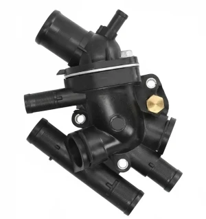 D 65, D 55 RENAULT KANGOO I Termostat z obudową MOTORAD