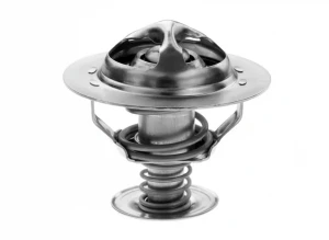 2.2 dT, 2.2 D RENAULT LAGUNA I Termostat MOTORAD