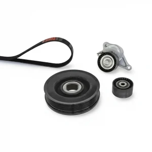 2.0 dCi Zestaw paska klinowego wielorowkowego RENAULT VEL SATIS GATES