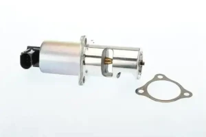 1.9 dCi Zawór egr agr borgwarner (wahler) RENAULT LAGUNA I BorgWarner (Wahler)