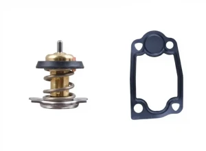 TX 266 79D MAHLE Termostat
