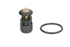 1.4 VW FOX Termostat SWAG
