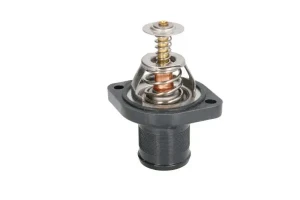 D2C004TT THERMOTEC Termostat