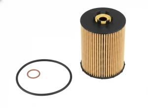 Filtr oleju BMW 6 E63 PURFLUX