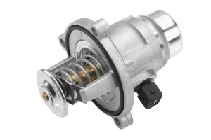 550 i BMW 5 F10 Termostat borgwarner (wahler) BorgWarner (Wahler)