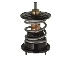 3.2 FSI VW PASSAT B6 Termostat FEBI BILSTEIN