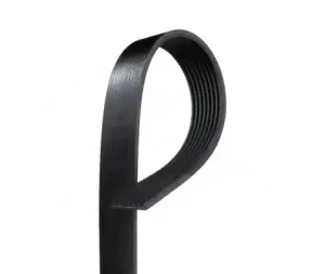 8PK1753HD GATES Pasek klinowy wielorowkowy