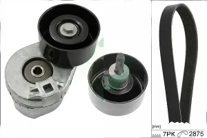529 0390 10 INA Kit cinghia trapezoidale multirighe