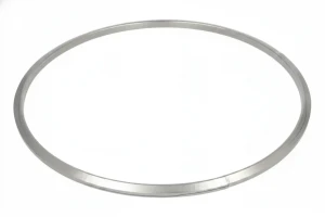 Uszczelka rury wydechowej DAF CF DINEX