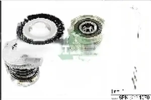 2.0 TDI, 1.6 TDI Zestaw paska klinowego wielorowkowego VW CADDY III INA