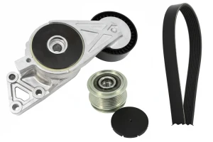 2.0, 1.8 T, 1.6 Zestaw paska klinowego wielorowkowego VW BORA INA