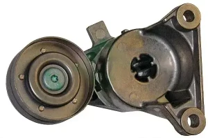 2.5 TDi, 2.5 TDI Tendicinghia multirighe VOLVO S70 INA